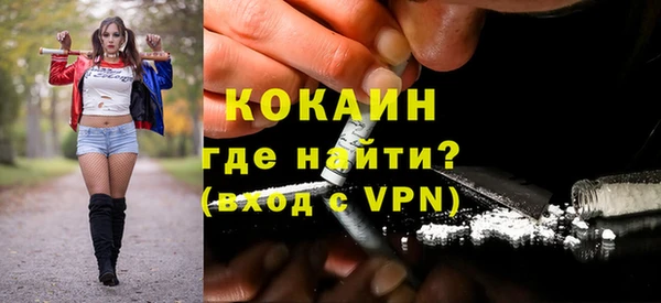 сатива Вяземский