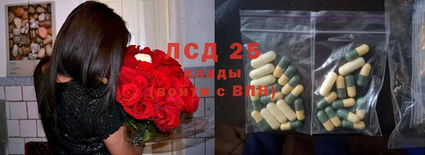 сатива Вяземский