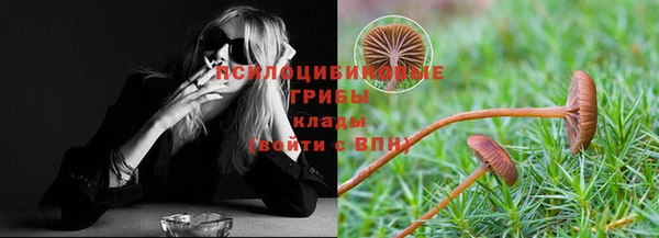 герыч Вязьма