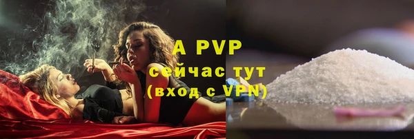 спиды Горняк