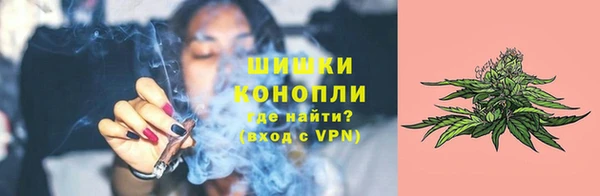 Альфа ПВП Гусев
