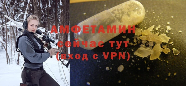сатива Вяземский