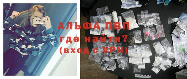 спиды Горняк