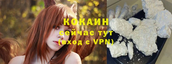 сатива Вяземский